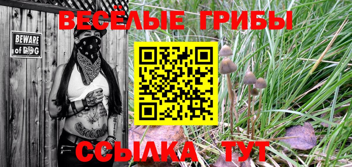Псилоцибиновые грибы GOLDEN TEACHER Белогорск