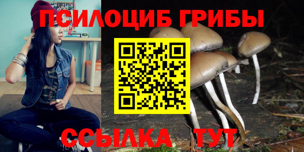 Псилоцибиновые грибы Cubensis  купить   Белогорск  Вход с VPN 